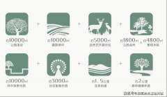 强先体检、后更新